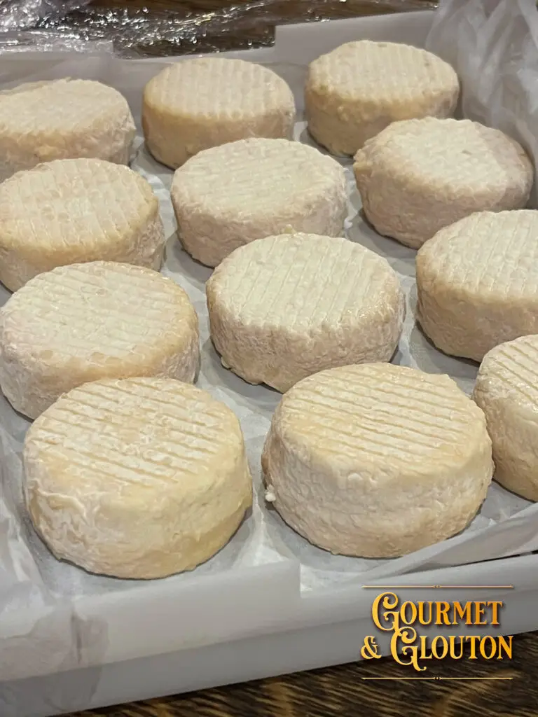 restaurant, fromage, brebis, gastronomie, Auvergnate, plats, canaille, Chaudesaigues, Chaudes-Aigues - Gourmet & Glouton