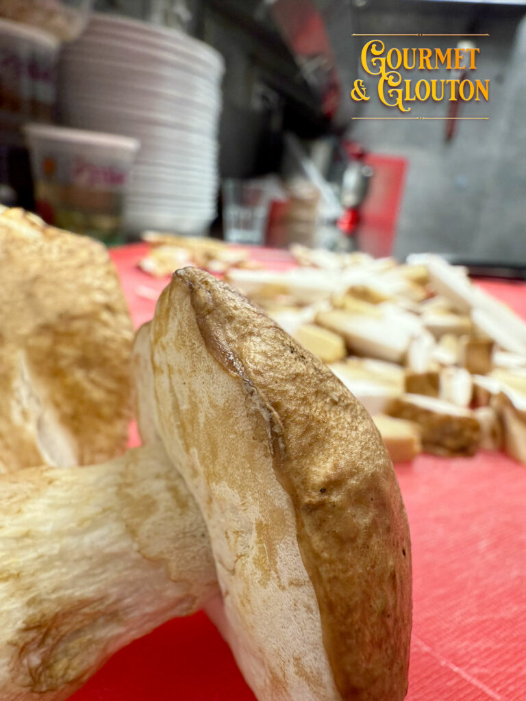 champignon—cèpes-ChaudesAigues – Suggestion-Gourmet & Glouton-restaurant, gastronomie, Auvergnate, viande, Aubrac, plats, canaille, Chaudesaigues, Chaudes-Aigues - vente emporter