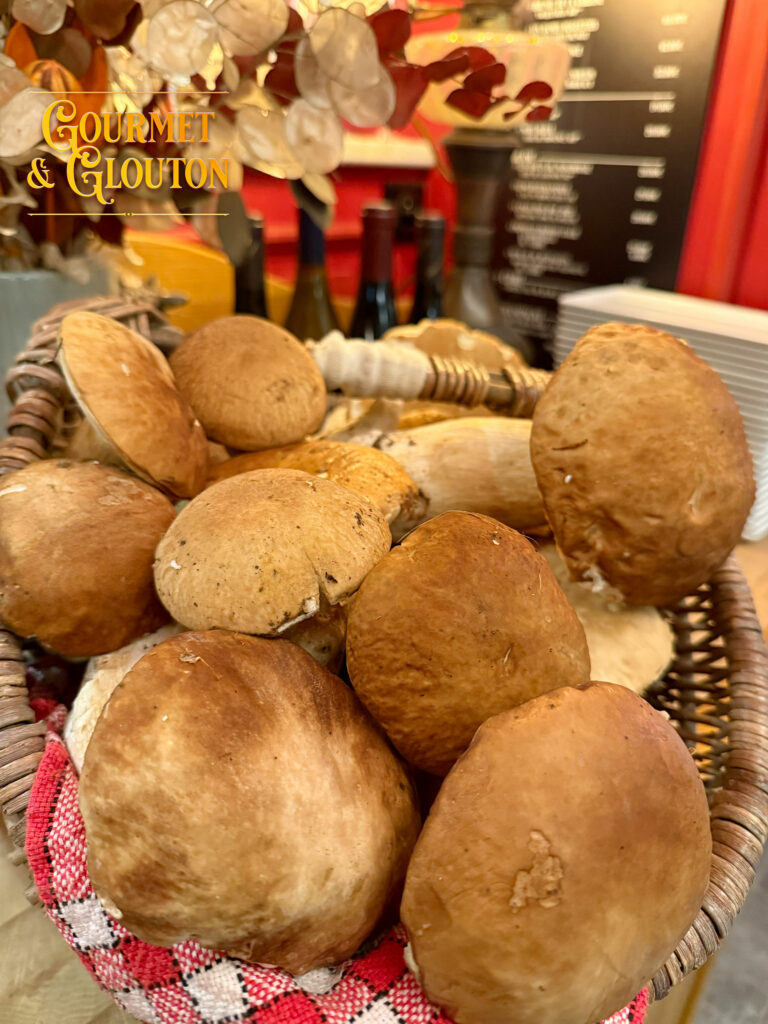 champignon—cèpes-ChaudesAigues – Suggestion-Gourmet & Glouton-restaurant, gastronomie, Auvergnate, viande, Aubrac, plats, canaille, Chaudesaigues, Chaudes-Aigues - vente emporter