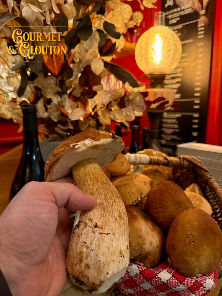 champignon—cèpes-ChaudesAigues – Suggestion-Gourmet & Glouton-restaurant, gastronomie, Auvergnate, viande, Aubrac, plats, canaille, Chaudesaigues, Chaudes-Aigues - vente emporter