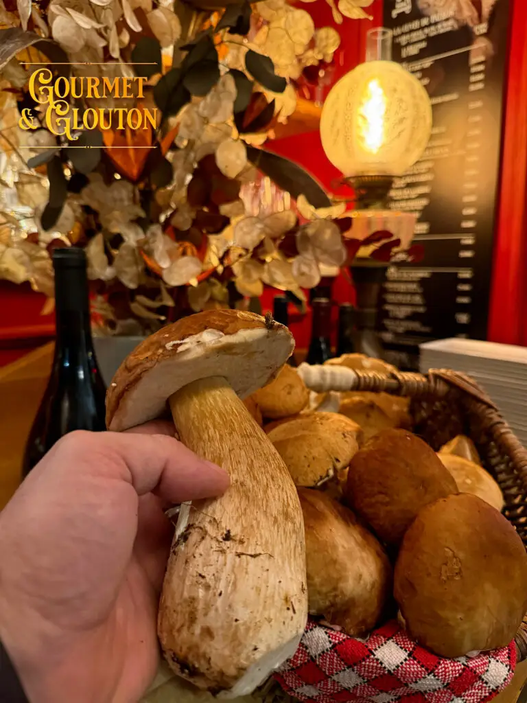 champignon—cèpes-ChaudesAigues – Suggestion-Gourmet & Glouton-restaurant, gastronomie, Auvergnate, viande, Aubrac, plats, canaille, Chaudesaigues, Chaudes-Aigues - vente emporter