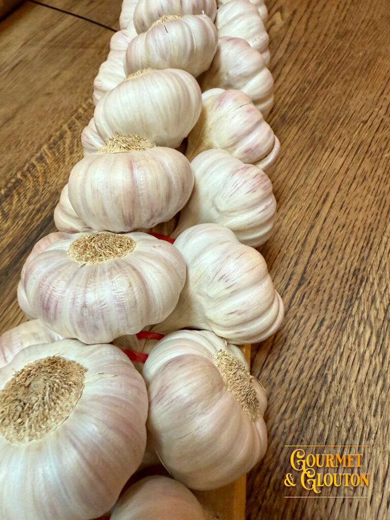 Ail rose de Lautrec, trésor du Tarn utilisé dans la cuisine traditionnelle du restaurant Gourmet & Glouton à ChaudesAigues