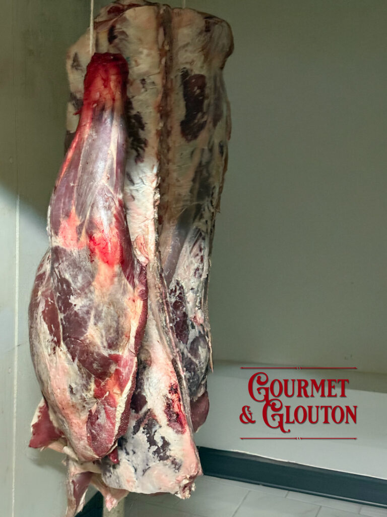 restaurant, gastronomie, Auvergnate, viande, Aubrac, plats, canaille, Chaudesaigues, Chaudes-Aigues - Gourmet & Glouton- restauration, viande maturée, viande locale